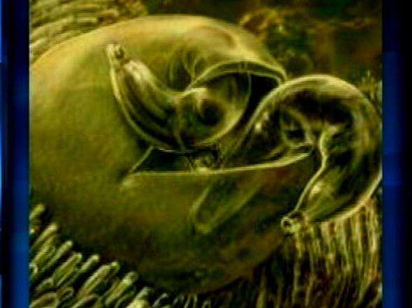 Health officials working to prevent cryptosporidium in pools