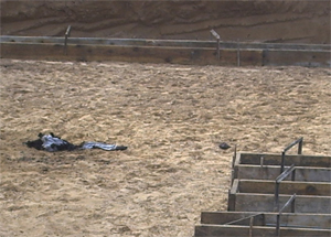 Worker accidentally set on fire