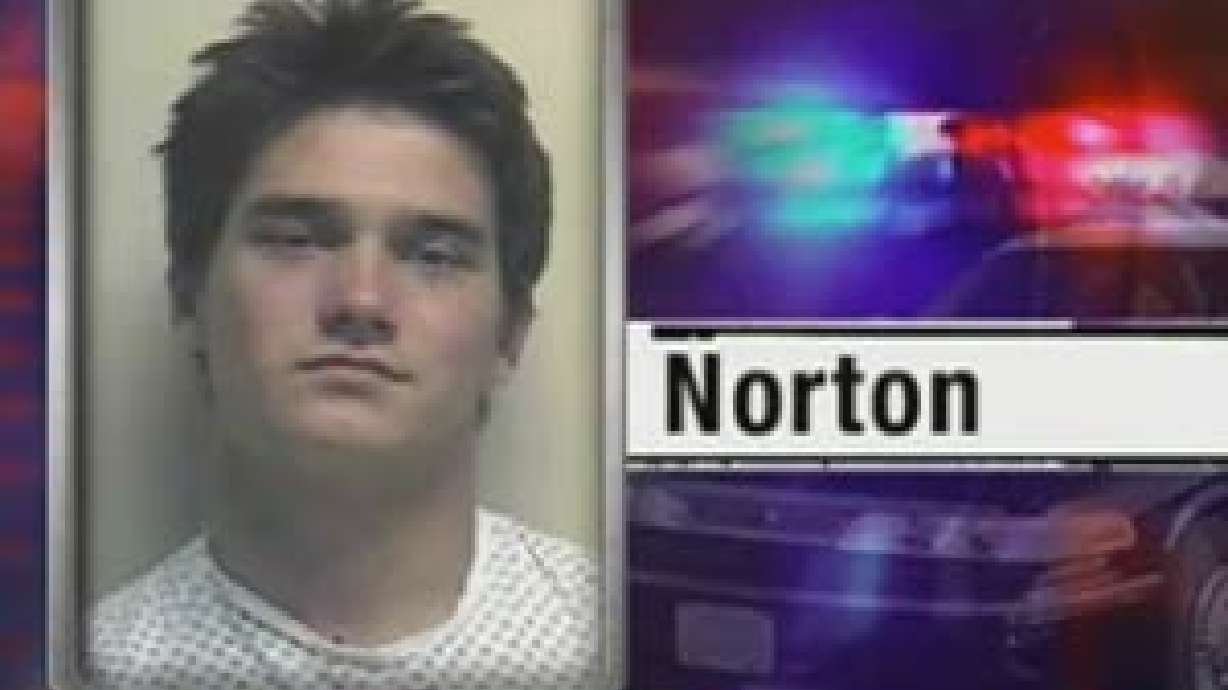 Alleged Car Burglar Faces 30 Charges