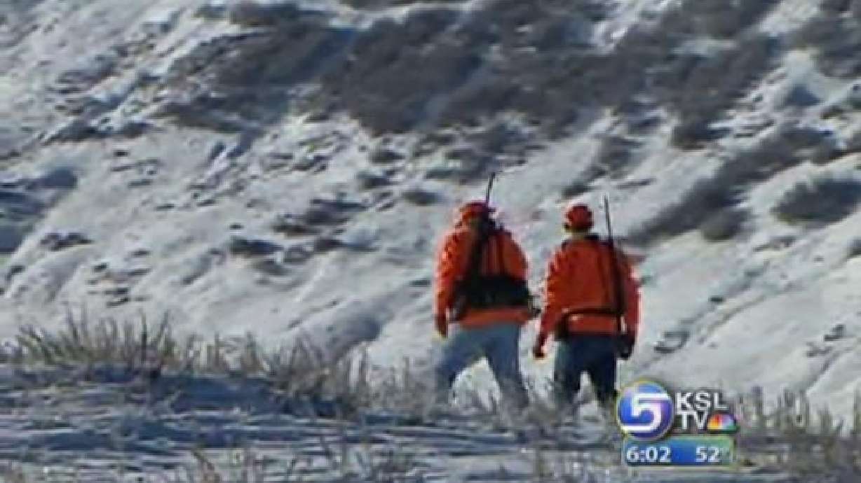 Deer Hunt Gets Underway