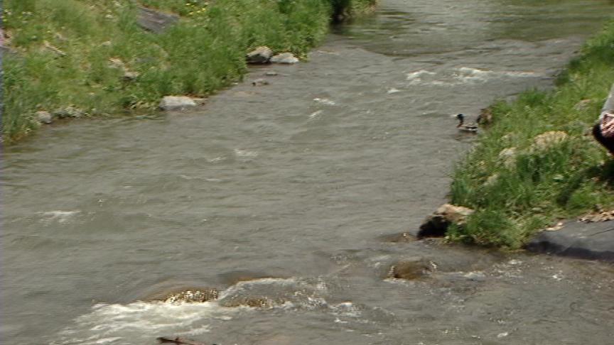 Danger Rises Along with Stream Levels