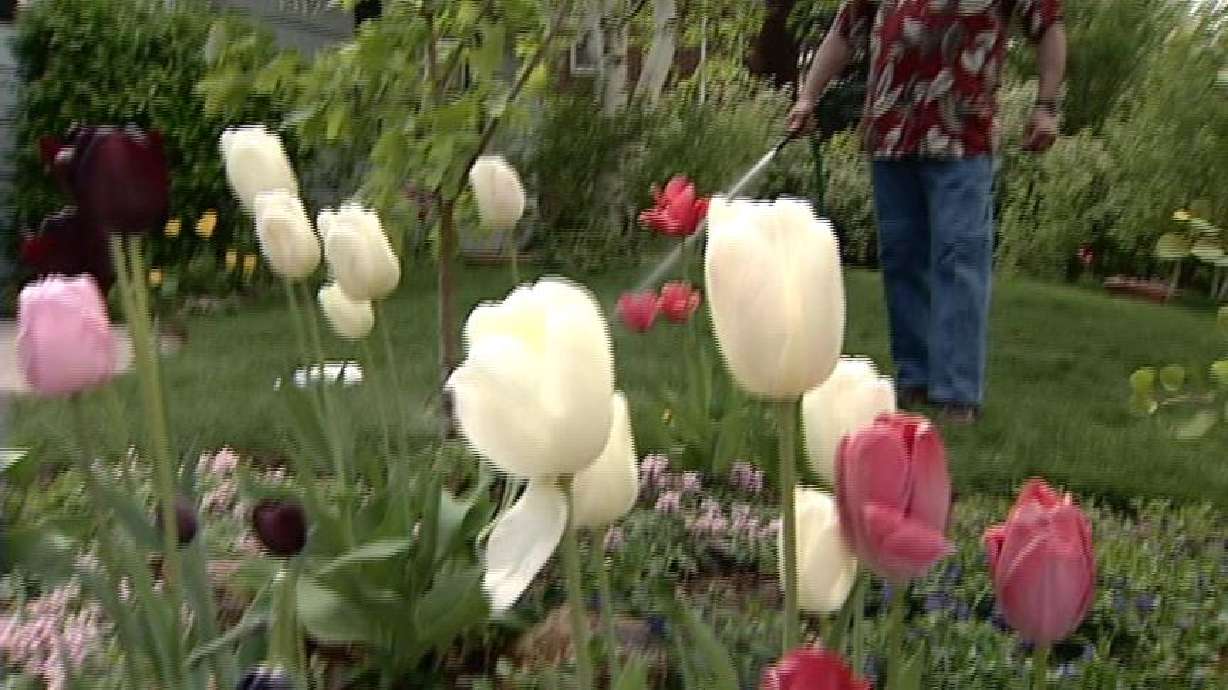 End of Drought Not Likely to Bring Water Rates Down