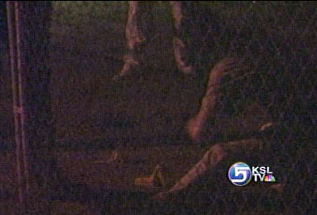 Teen Brutally Beat Up in Possible Gang Incident