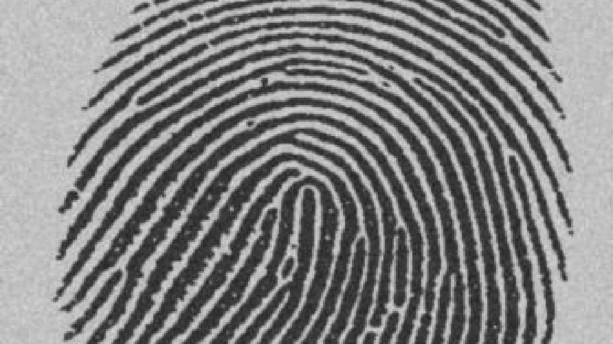 Background Checks Proposed for Eagle Mountain City Officials