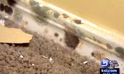 Volunteers building new home for family with health problems