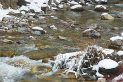 Fishermen not happy about medications found in water