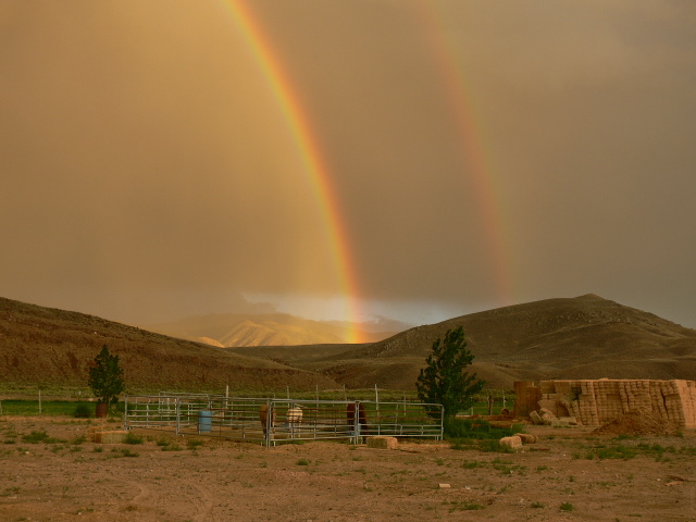 Rain Records