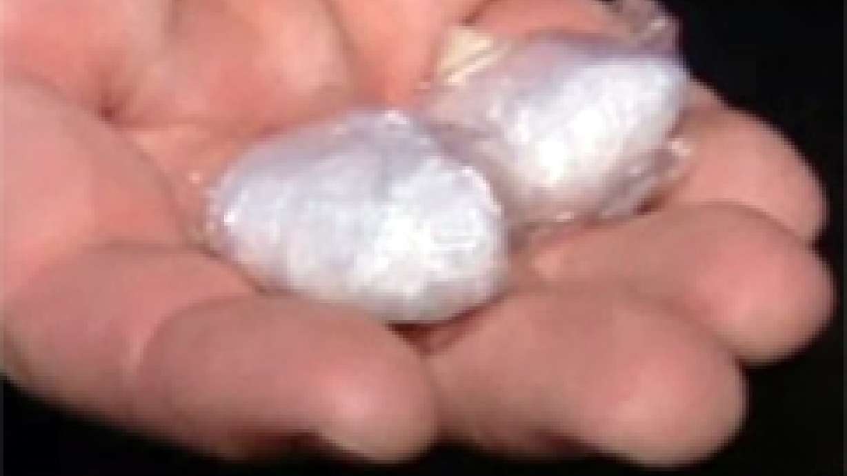 Fathers to Offer Bounty for Drug Dealers