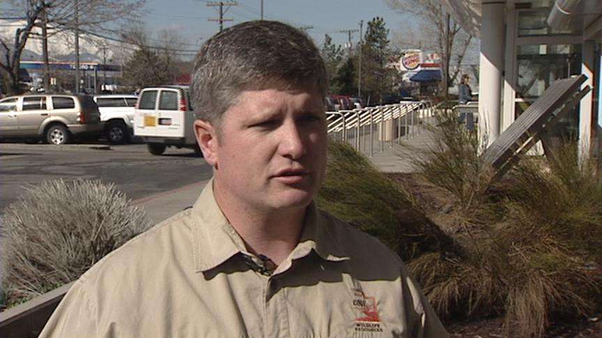 Wolf pack sighted in Utah for the first time in almost 80 years