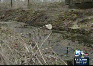 Farmer blames Flying J for wastewater on his property