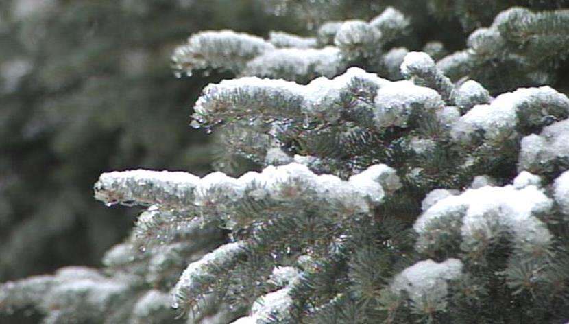 Spring ushered in with a light blanket of snow