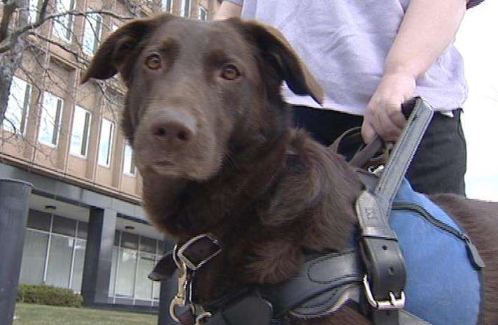 Woman says security guards gave her trouble because of service dog