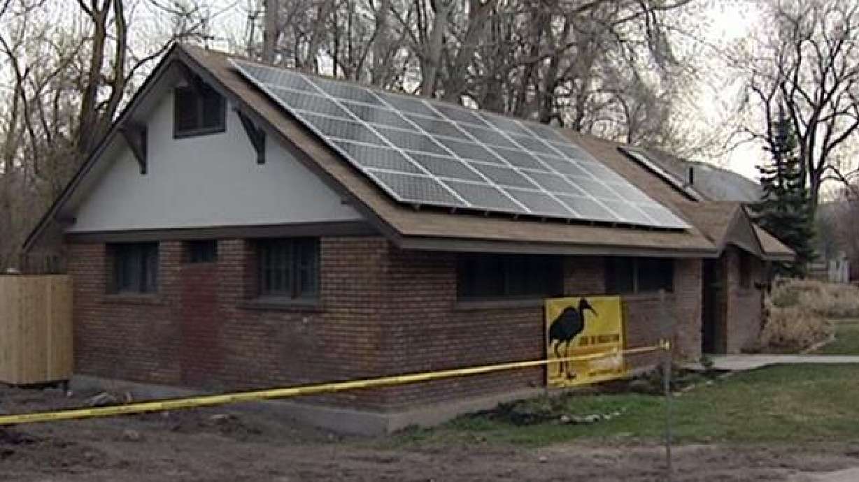 Power company offers some ‘green' to go green