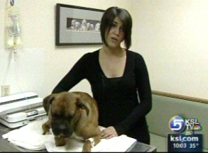 Dog thrown off I-15 overpass