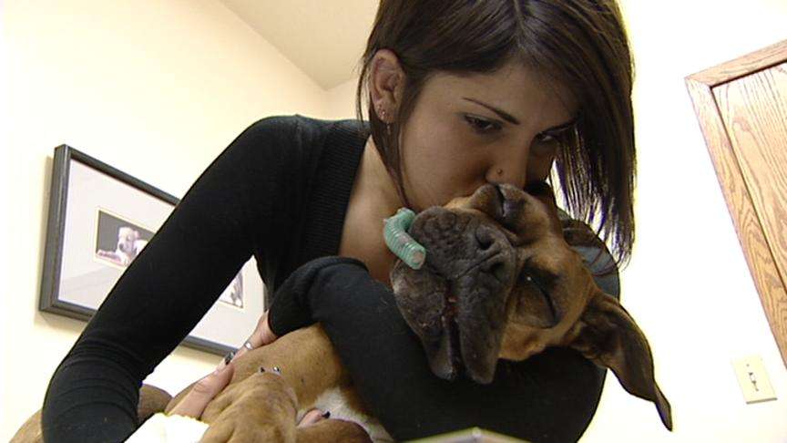 Dog thrown off I-15 overpass