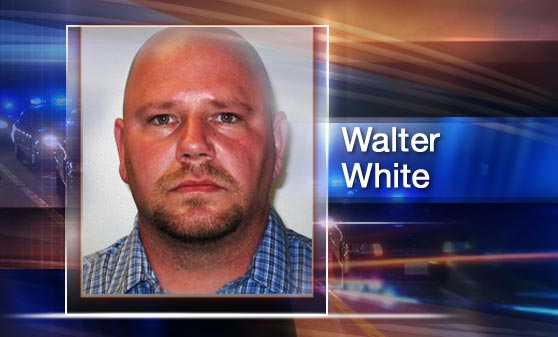 Walter White Enters Guilty Plea