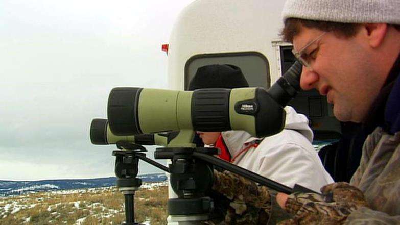 Beloved ‘Wolf 253' killed in Wyoming