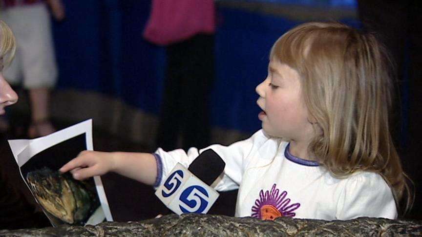 Fish with fangs generates big response