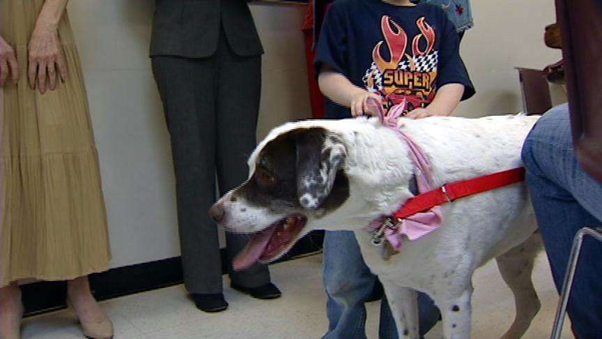 Governor hosts ceremonial signing of animal-cruelty bill