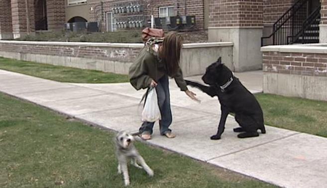 Complex changes pet policy, some residents will have to move