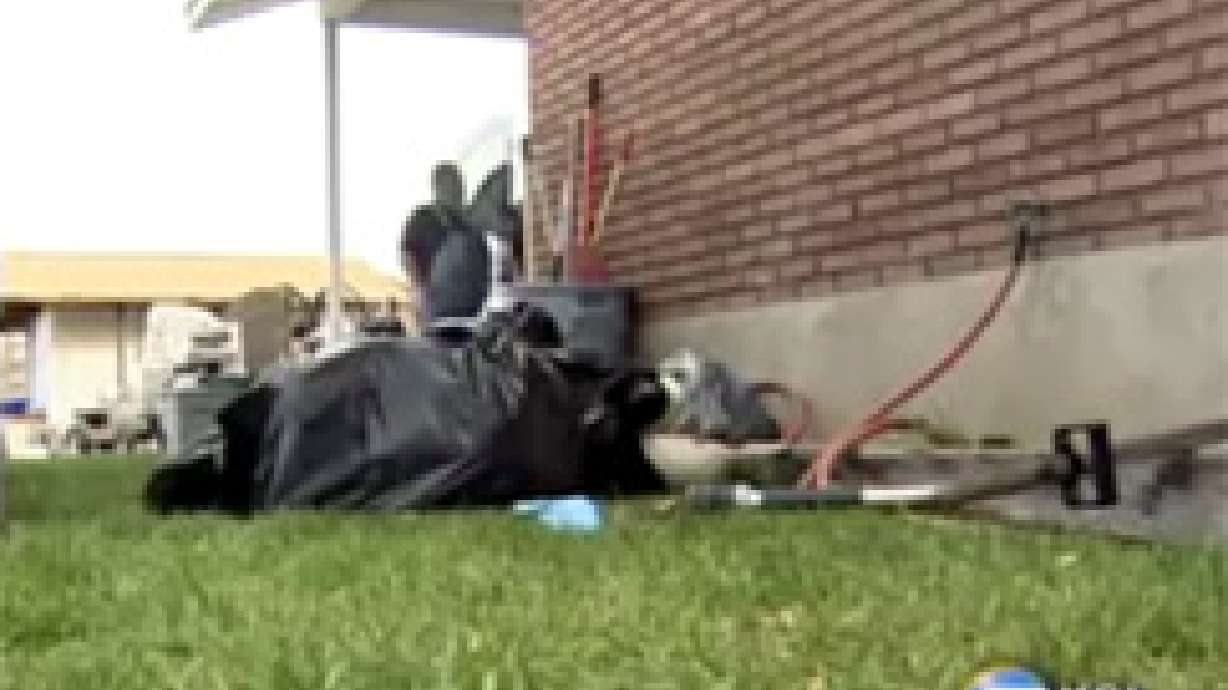 Sewage Floods Riverton Homes