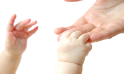 Expecting twins? What you really need to know