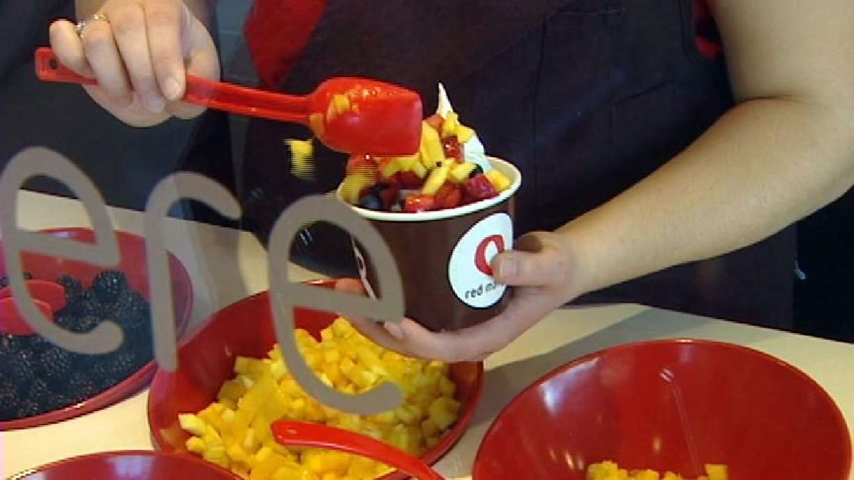 Tart frozen yogurt winning over Utahns' taste buds