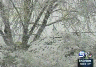 Wild weather hits entire state