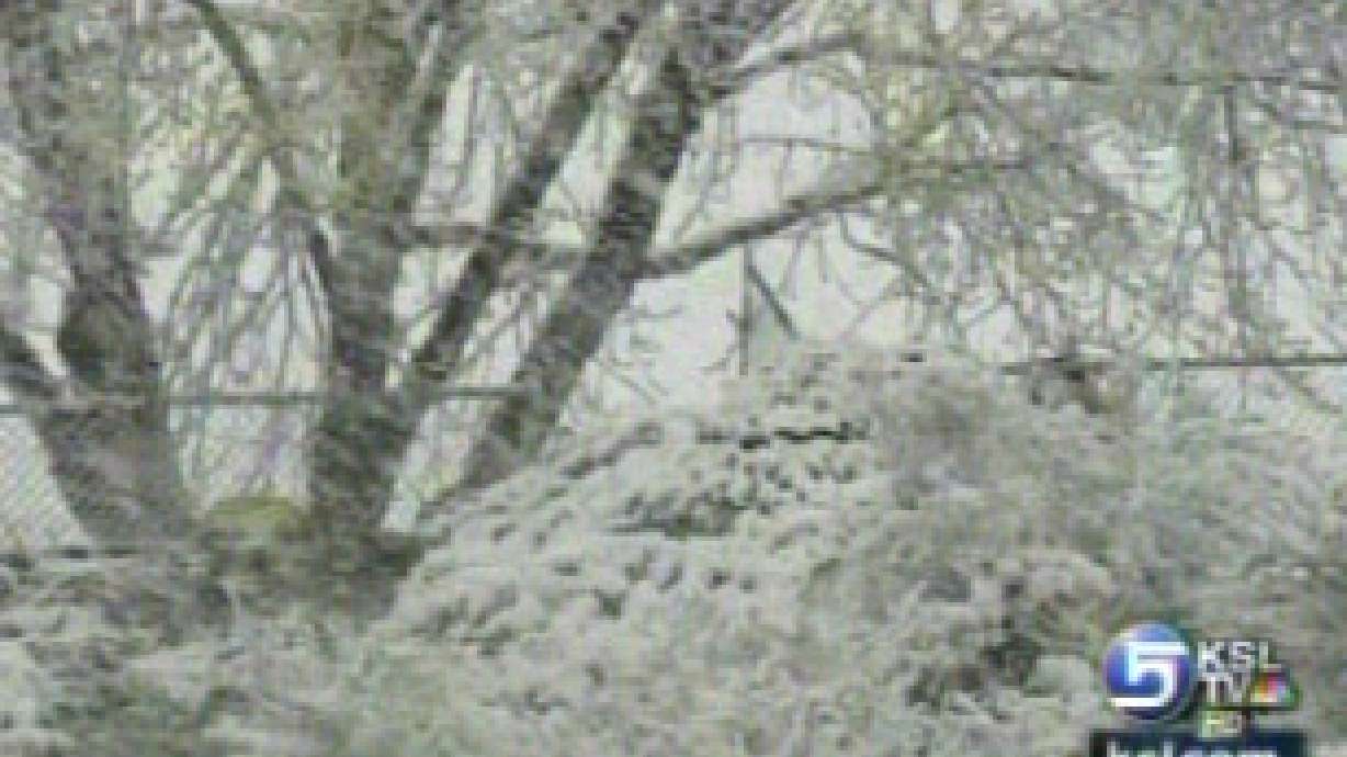 Wild weather hits entire state