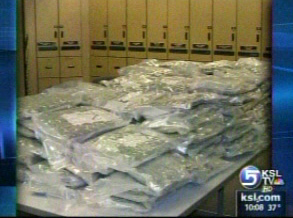 Police nab 150 packages of pot in traffic stop