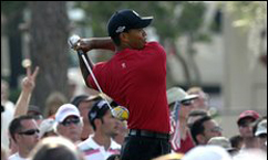 Tiger Woods has surgery in Park City