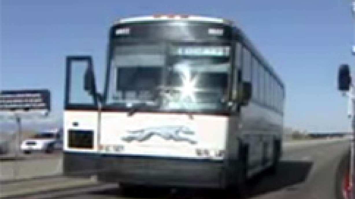 Bus Passenger Grabs Steering Wheel