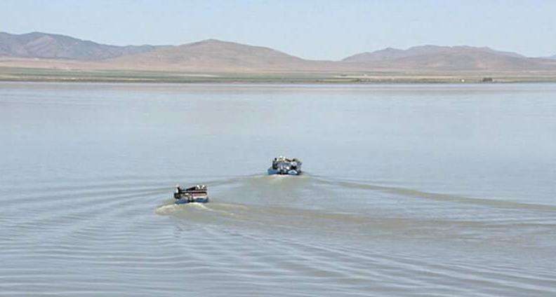 Plan to send Utah carp overseas faces roadblocks