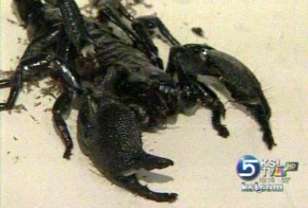 Promising cancer treatments being tested