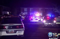 Attempted traffic stop turns into police chase