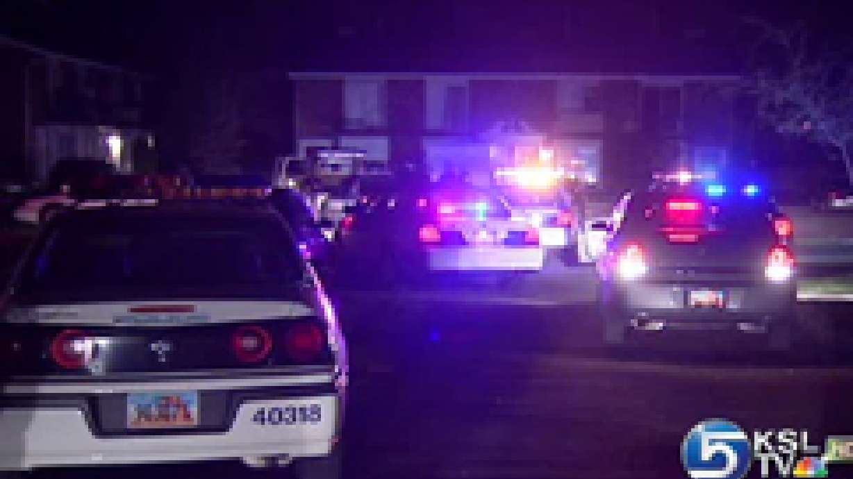 Attempted traffic stop turns into police chase