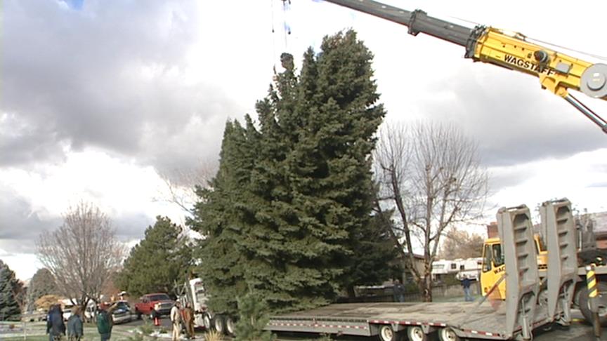 Christmas Tree Makes Trip to Gateway