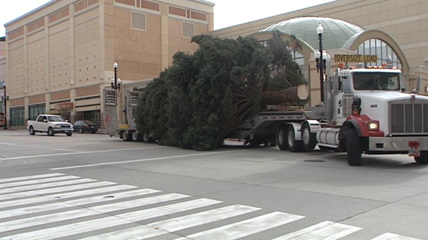 Christmas Tree Makes Trip to Gateway