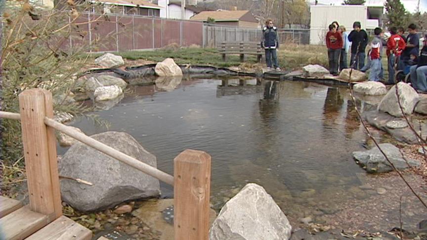 Students Working to Save Endangered Fish