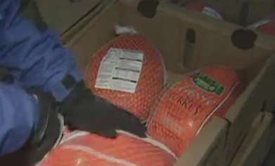 Donate a Turkey to the Utah Food Bank 