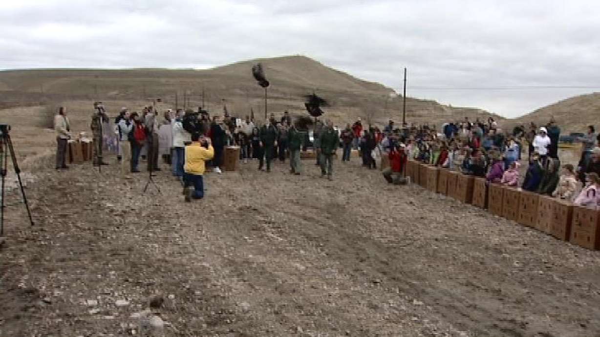 Kids Free Turkeys, Just in Time