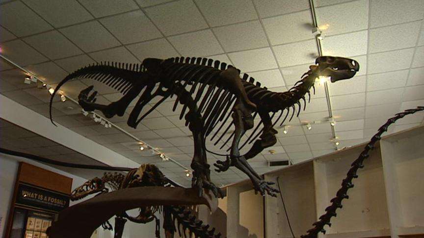 Scientists reveal new research on ancient, flesh-eating beetle