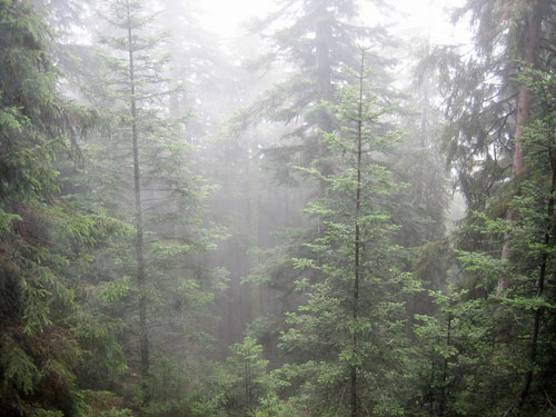 Forest Service programs for children get money