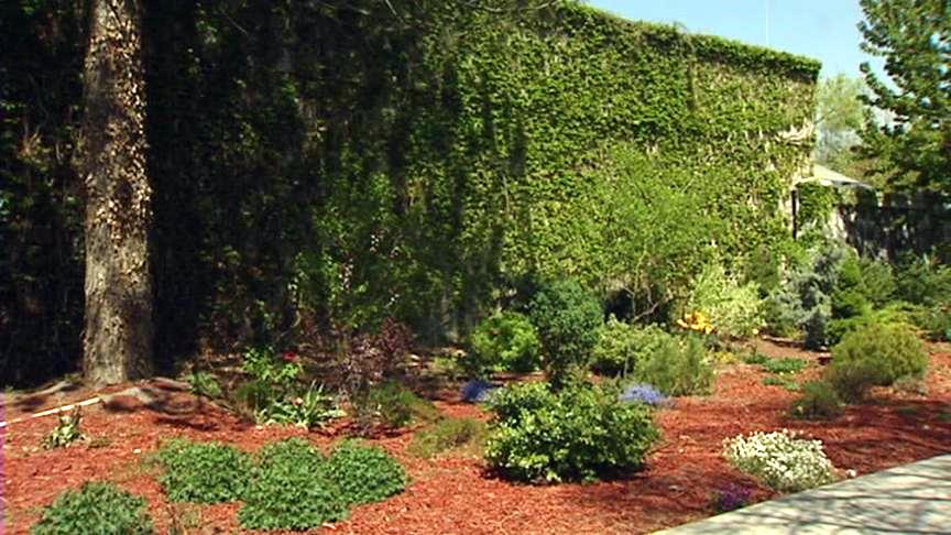 Utah groups partner to spread the word about water conservation