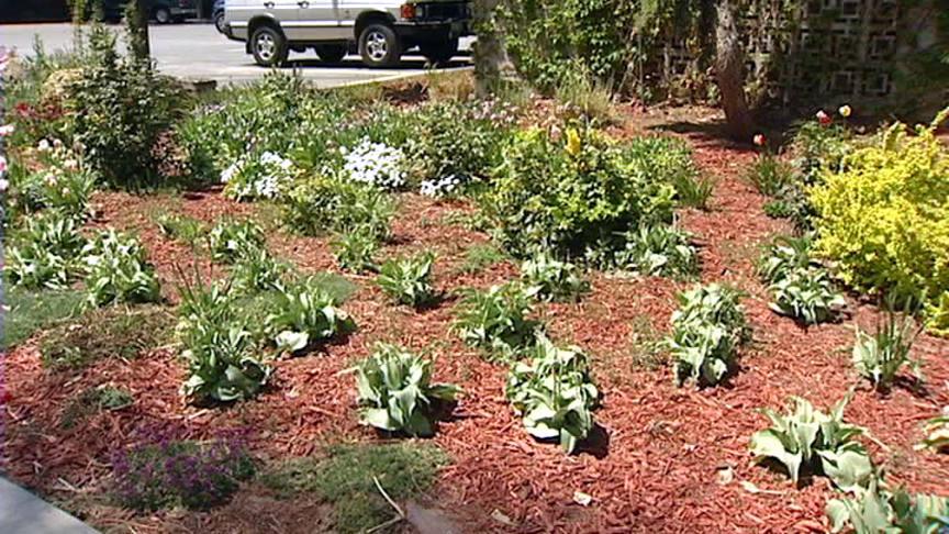 Utah groups partner to spread the word about water conservation