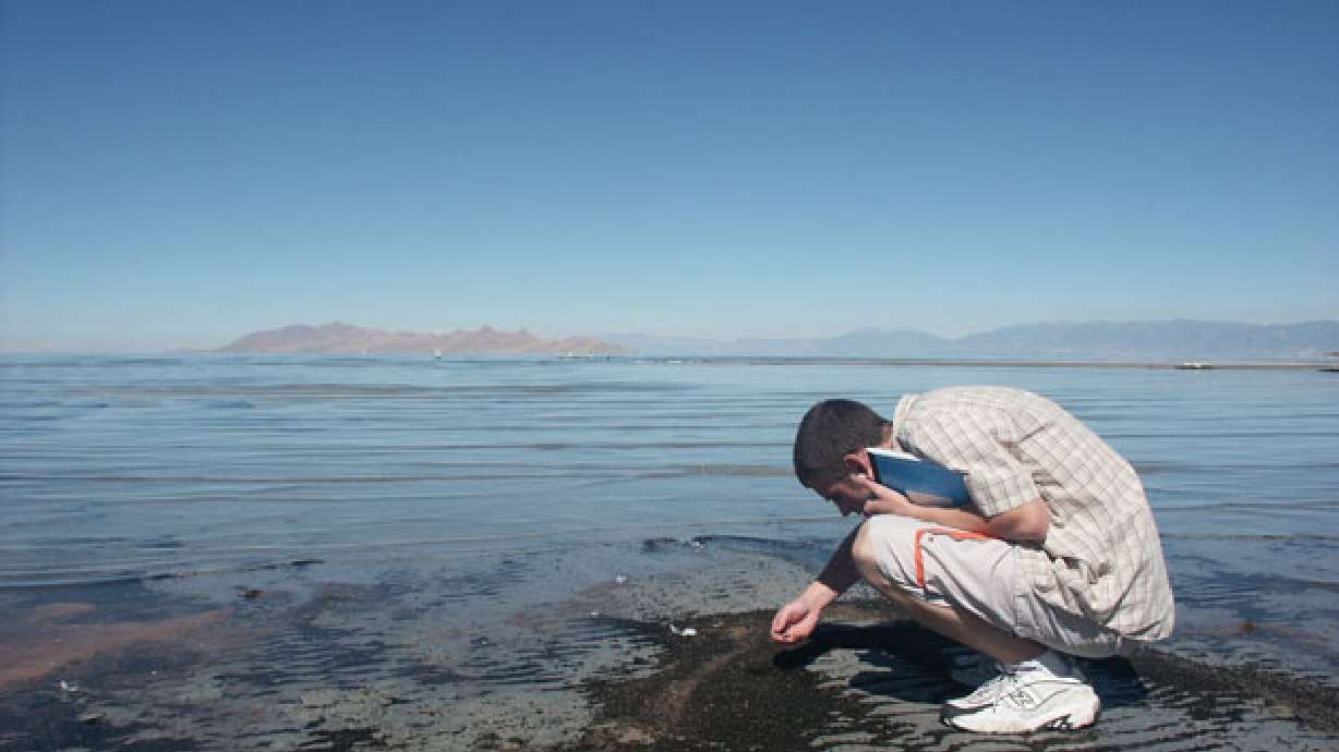College creates Great Salt Lake Institute