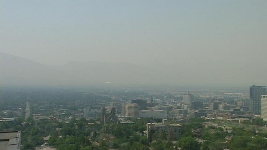 Task force working to find solutions for summer pollution