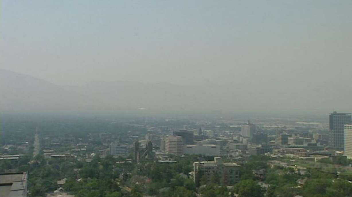 Task force working to find solutions for summer pollution