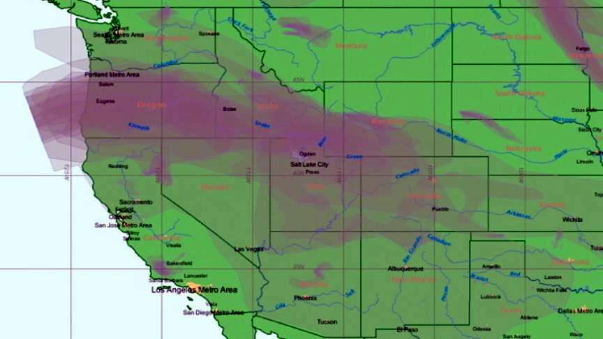 Task force working to find solutions for summer pollution