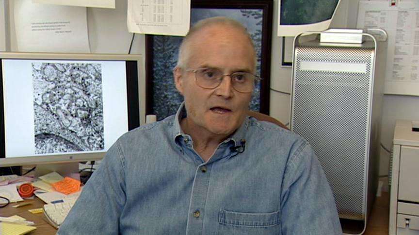 Biochemist Greg Burton